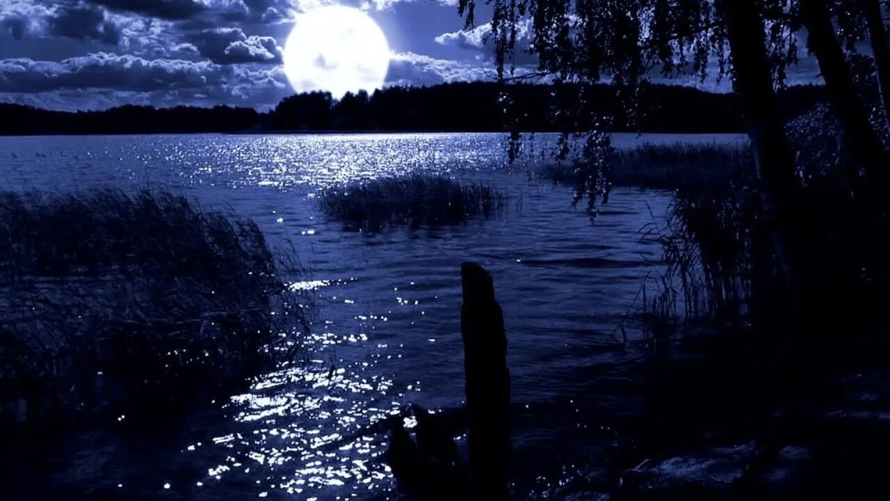 Тихого свет луны. Река ночью. Лунный пейзаж. Озеро ночью. Луна и озеро.