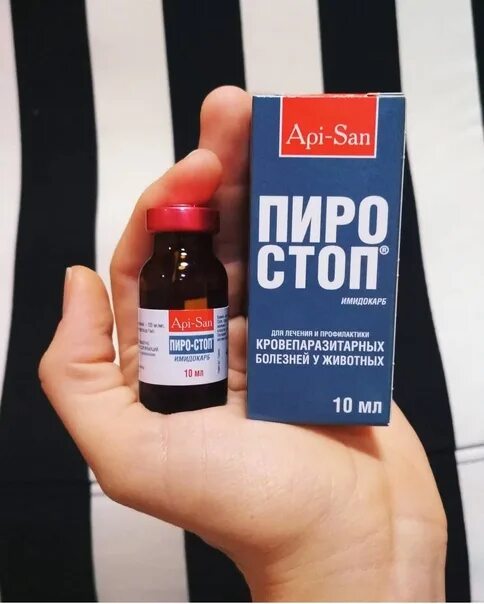 Пиростоп для крс. Пиростоп для собак. пиростоп аналоги. препараты от пироплазмоза для собак. пиростоп для лошадей.