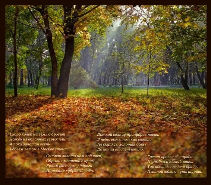 Дождь в лесу стих. Стихотворение про осень. Картинки со стихами про осень красивые. Осенний пейзаж стихи. Стихи про осень красивые.