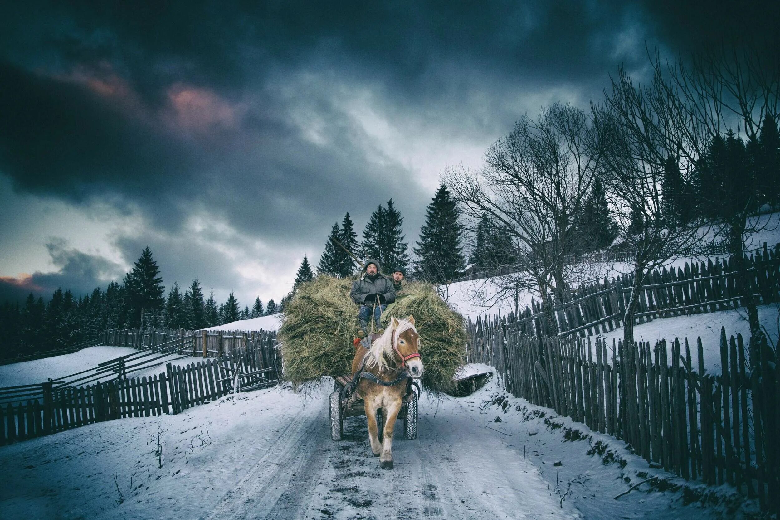 Звоны мерзлые. Зима в деревне. Зима деревня лошадь. Лошади в деревне. Лошади зимой.