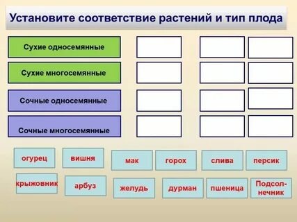 Установите соответствие для видов характеристик товара