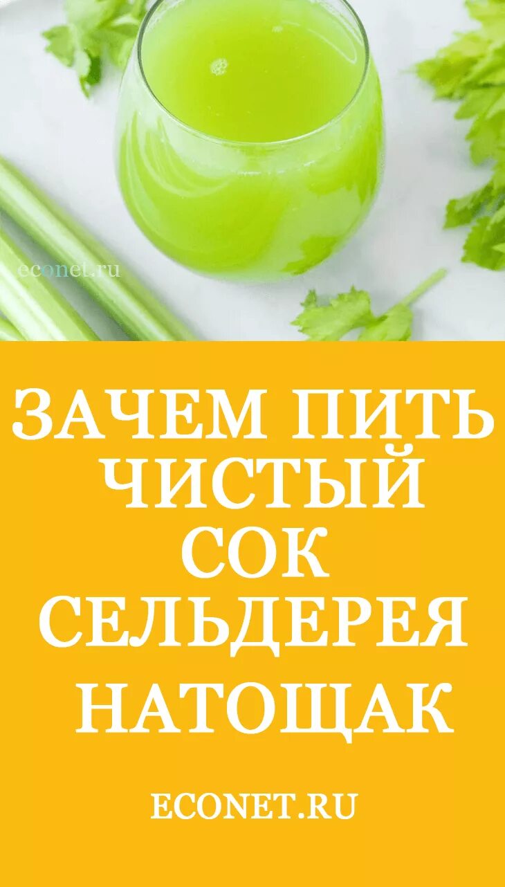 Как правильно пить сельдерей