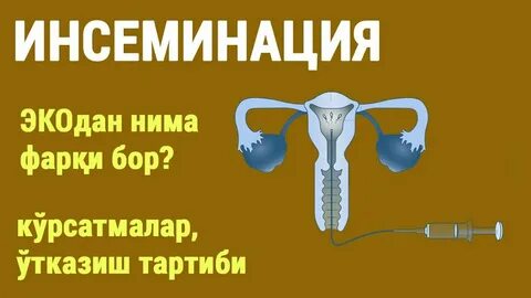Инсеминация воронеж