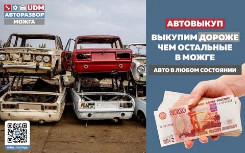 Можга алнаши
