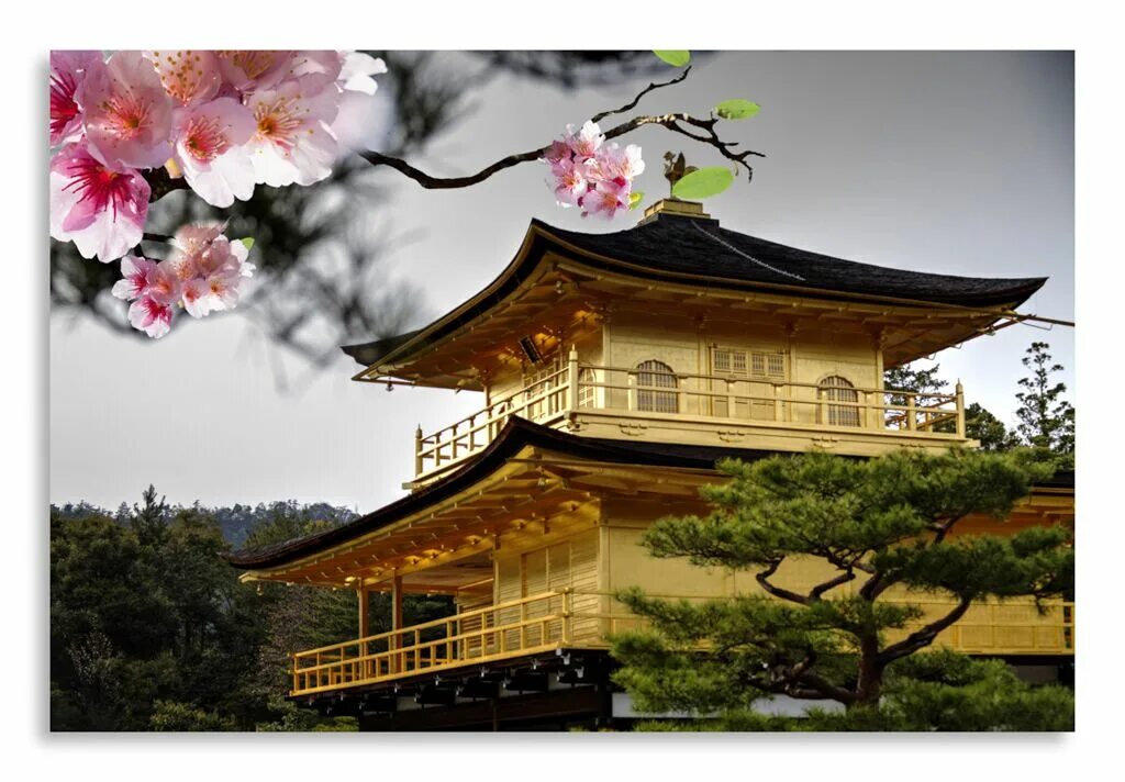 Японский дом 6 букв. Японская пагода Цветущая Сакура. Япония домик и Сакура. Пейзаж в японском стиле. Китайский домик.