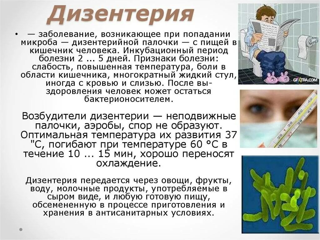 Дизентерия это. Дизентерия симптомы у детей. Дизентерия кратко. Презентация на тему дизентерия. Острая дизентерия возбудитель инфекции.