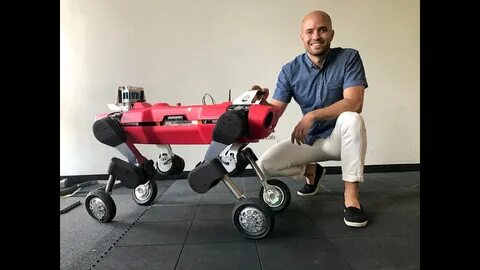 Legged robots