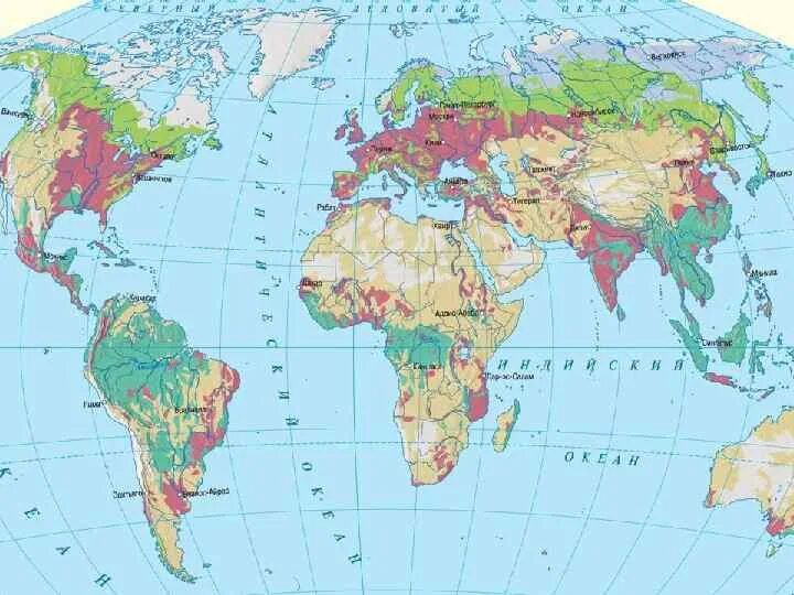 География 2 курс. Суббореального пояса. Суббореальный географический пояс. Карта почв суббореального пояса. Суббореальный пояс на карте.