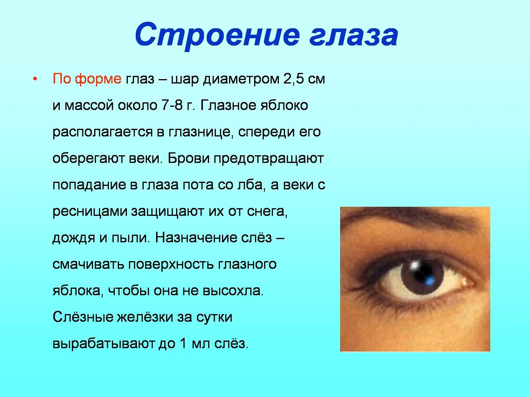 Какую информацию дают глаза. Доклад на тему глаз. Глаз для презентации. Презентация на тему зрение. Доклад на тему зрения.