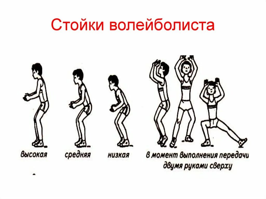 Волейбол стойка волейболиста. Волейбол стойка волейболиста. Стойки волейболиста. Техника стойки и перемещения в волейболе. Волейбол стойка волейболиста.