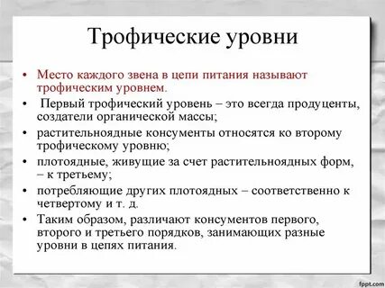 Трофические уровни первичной продукции