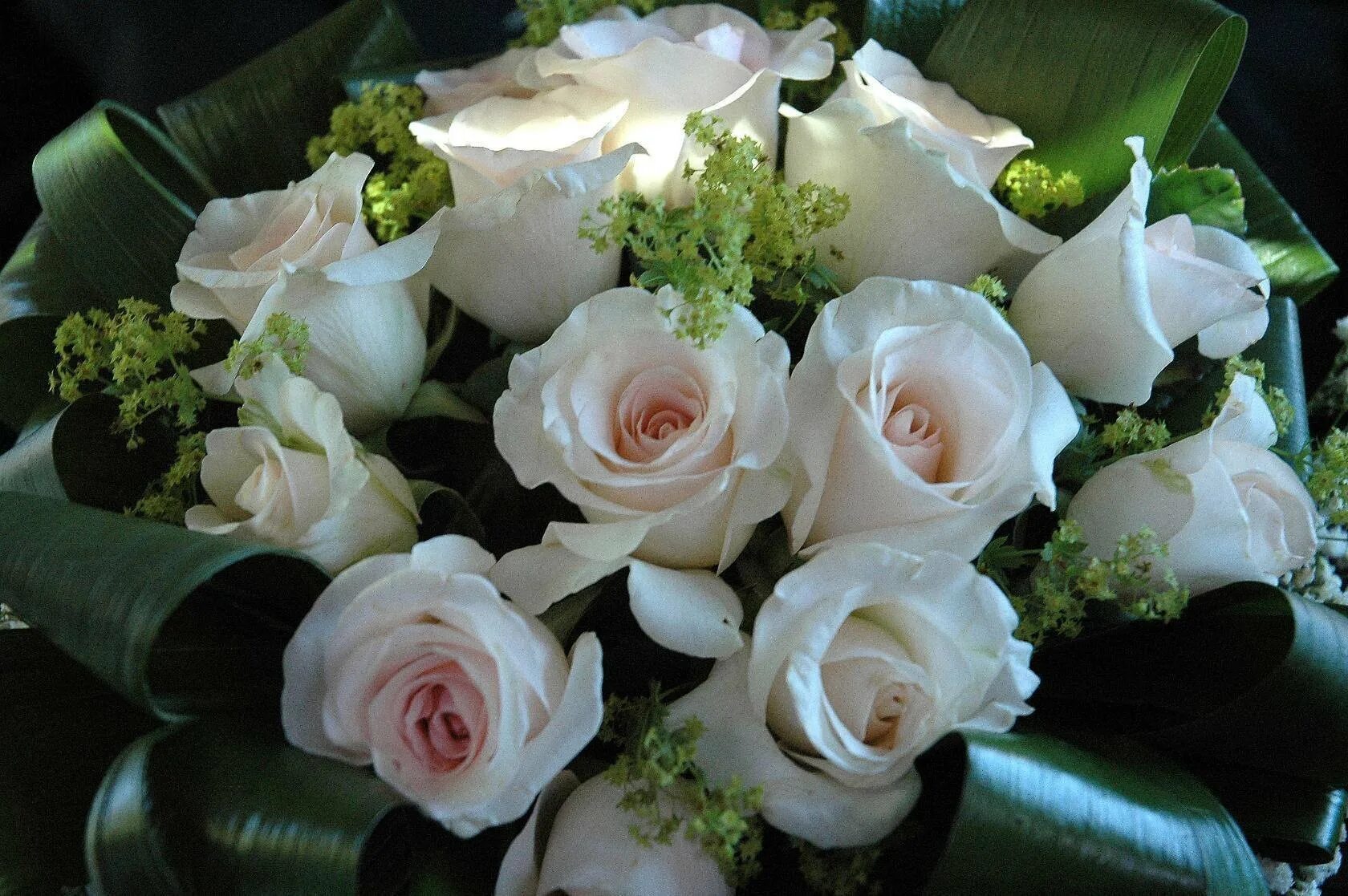 Открытки доброе утро храни вас бог. Открытки с днем рождения белые розы. Белые розы с пожеланиями. Доброе утро и счастья белые розы. Белые розы с добрым утром с пожеланиями.