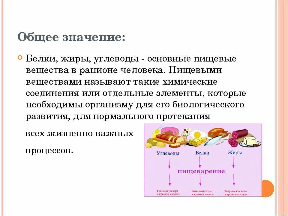 Биологическая роль питания. Значение белков жиров и углеводов в питании человека. Основные пищевые вещества белки жиры углеводы. Основные функции белков жиров и углеводов в организме человека. Питательные вещества белки жиры углеводы схема.