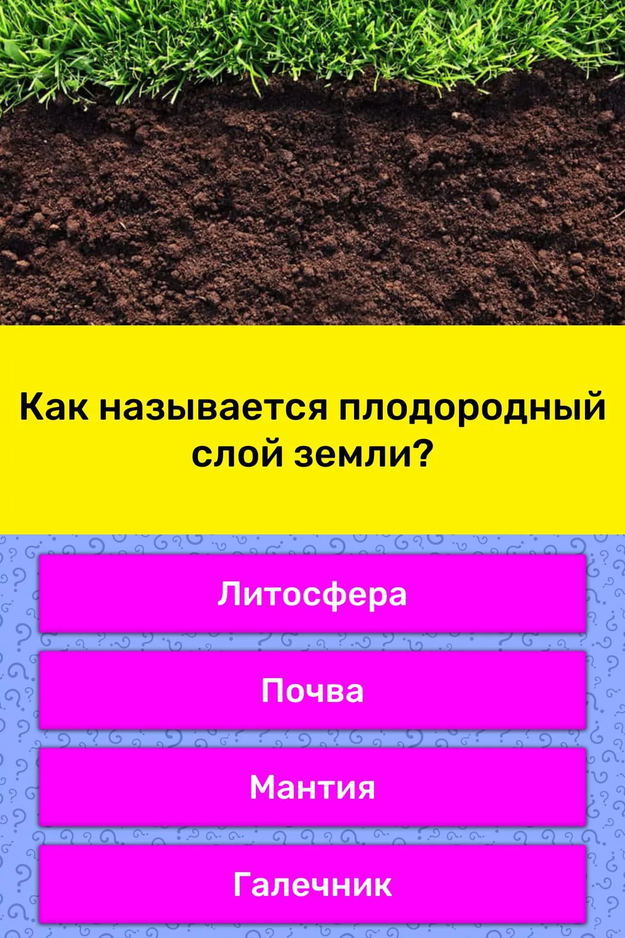 Плодородный слой почвы. Слои почвы. Верхний плодородный слой земли. Почва плодородный слой земли.