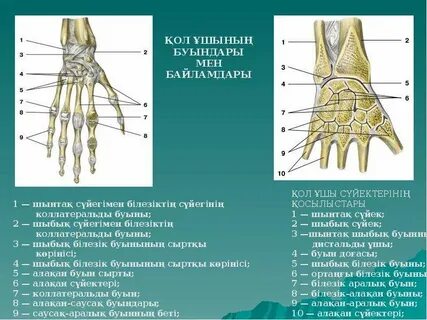 Арық брюнеткамен жыныстық қатынас