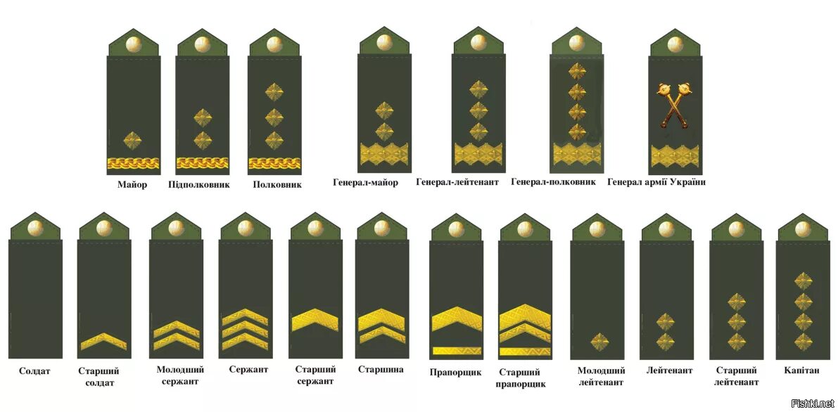 Генерал лейтенант сколько звезд. Погоны и звания в армии Украины. Воинские звания ВСУ Украины. Ранги в армии Украины. Звания в ВСУ Украины воинские звания.