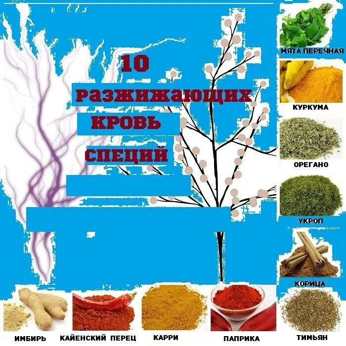 Список продуктов препятствующий образованию тромбов. Какие продукты разжижают кровь. Продукты разжижающая кворь. Список продуктов разжижающих кровь. Продукты понижающие свертываемость крови.