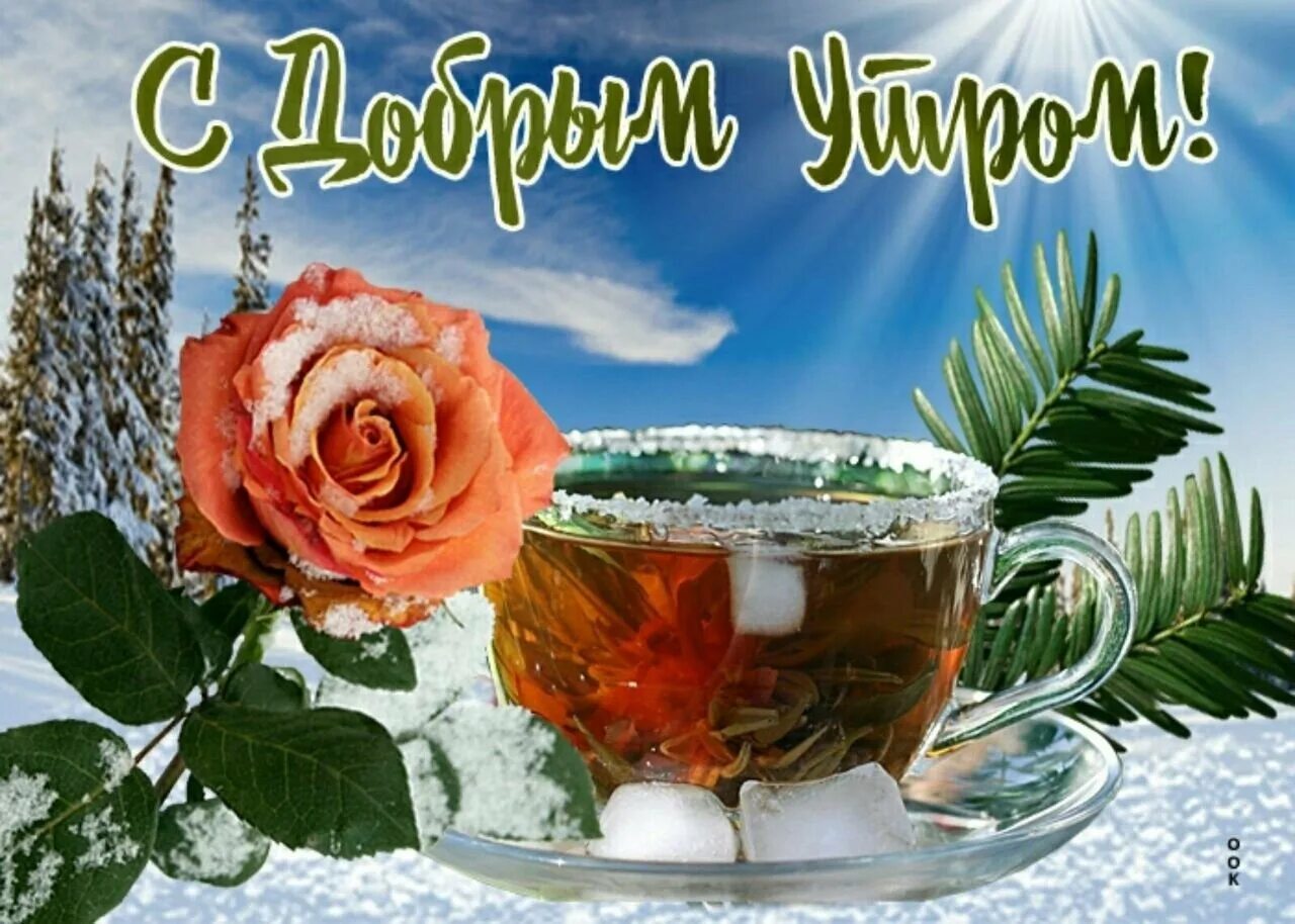 Доброго утра хорошего дня зимние. Доброе зимнее утро. открытки с добрым утром зимние. пожелания с добрым зимним утром. доброго зимнего дня.
