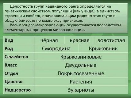 Целостность группы
