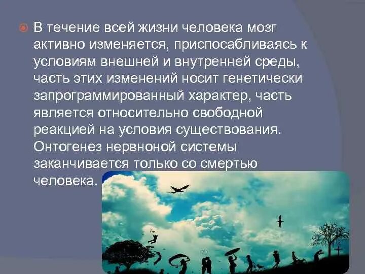 Внешним условиям жизни. В течение всей жизни. Образование длится в течение всей жизни. Но и в течение всей жизни. И многие, в течение всей жизни.