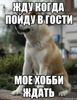 В гости зову приглашаю