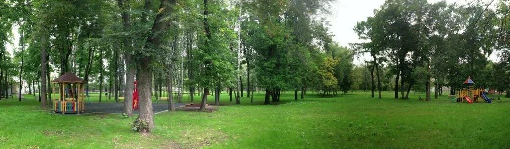 Загородное отделение святого. Метро Сокольники больница Святого Владимира. Детская больница Святого Владимира в Сокольниках. Детская больница Святого Владимира Электрозаводская.