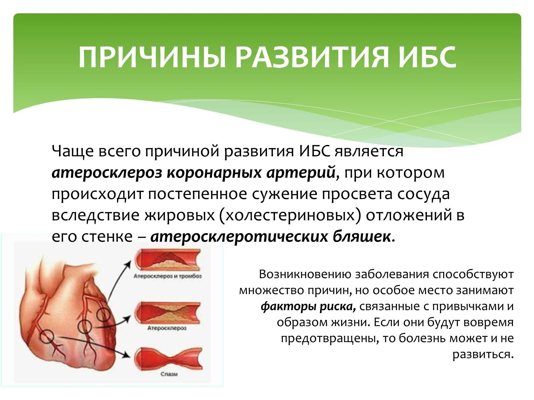 Ишемия боковой стенки. Причины развития ишемической болезни сердца. Ишемическая болезнь сердца симптомы профилактика. Факторы возникновения ишемической болезни сердца. Причины развития ишемии миокарда.