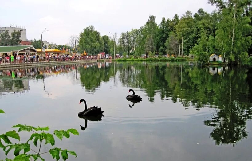 Сормовский парк озеро. Сормовский парк нижний новгород. сормовский парк сосны озеро. озеро в сормовском парке нижний новгород. нижний новгород сормовский парк культуры и отдыха сормовский парк.