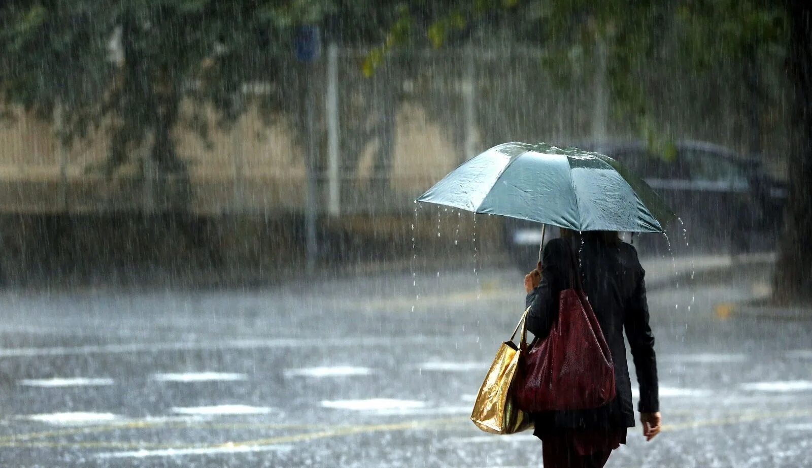 It s raining heavily. Дождливый день. Пасмурный дождливый день. Сильный дождь. Ливень.