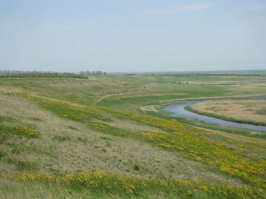 Кубанская степь краснодарский край. Низменности краснодарского края. Азово-кубанская низменность. Кубано приазовская равнина. Азово кубанская равнина.