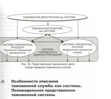 Характеристика таможенных органов