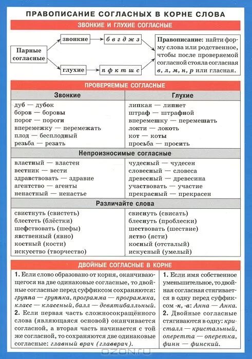 правописание парные согласные в корне слова. правило проверки парных согласных в корне слова 2 класс. правило проверки парных согласных 2 класс. правило правописания парных согласных в корне. правило написания парных согласных в корне слова 2 класс.