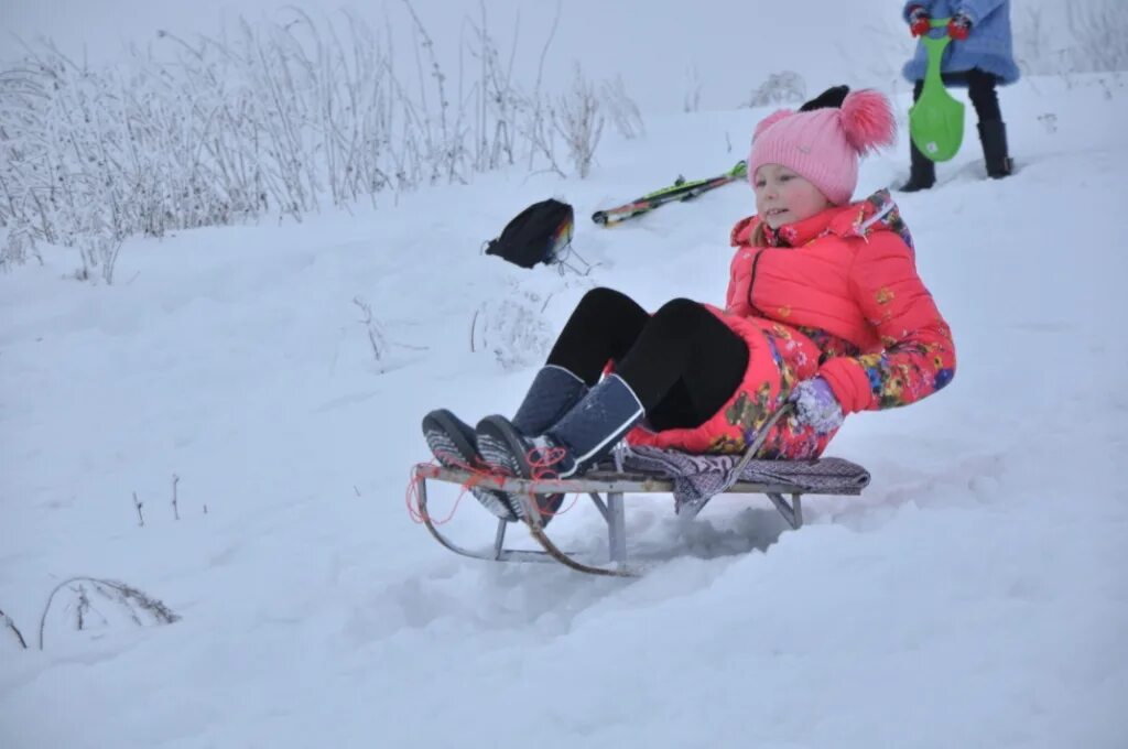 ребята катались на санках характеристика
