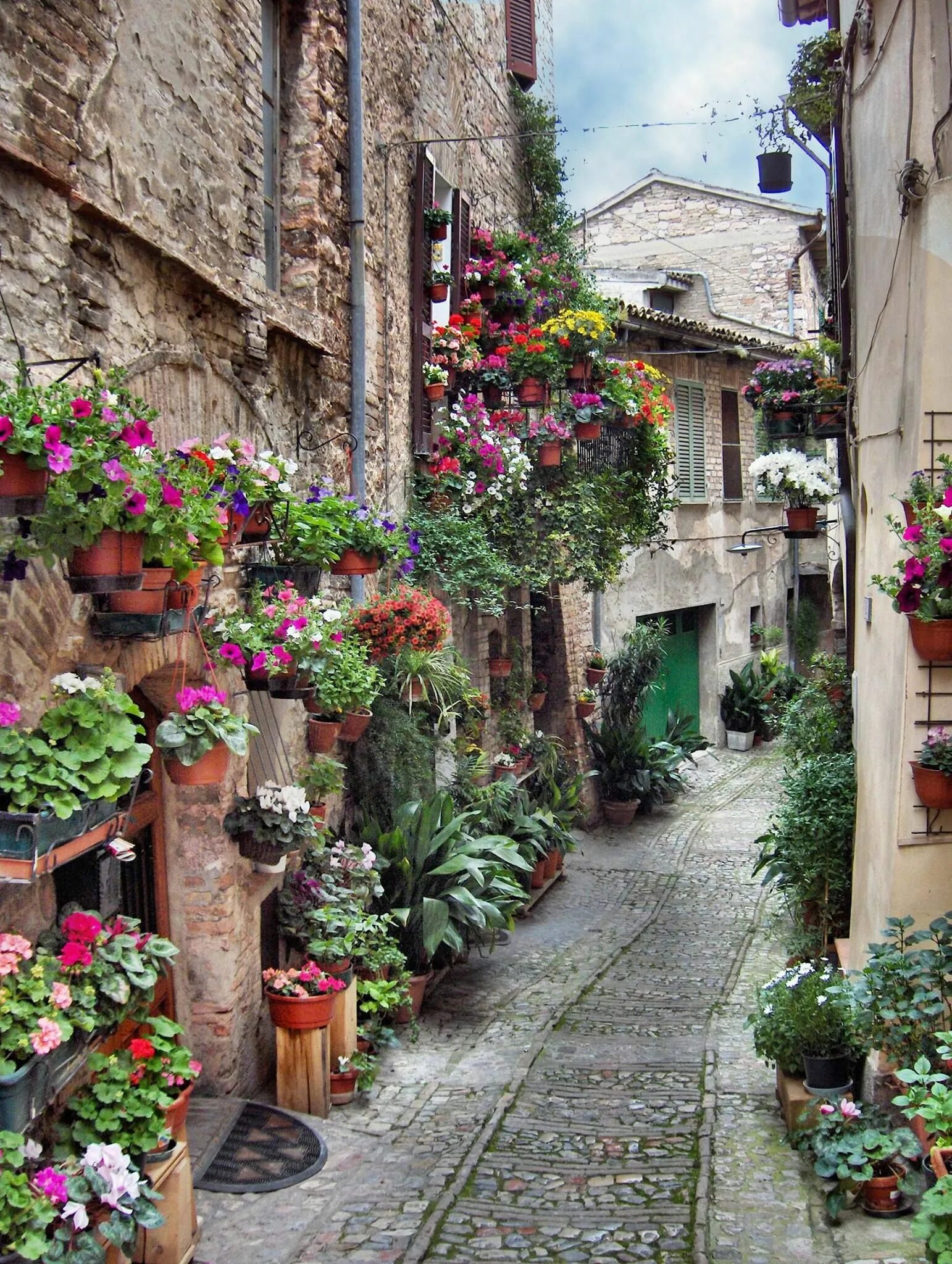 Street of flowers. Улицы Италии Спелло. Спелло Умбрия. Спелло Умбрия Италия. Город цветов Спелло (Spello). Италия.