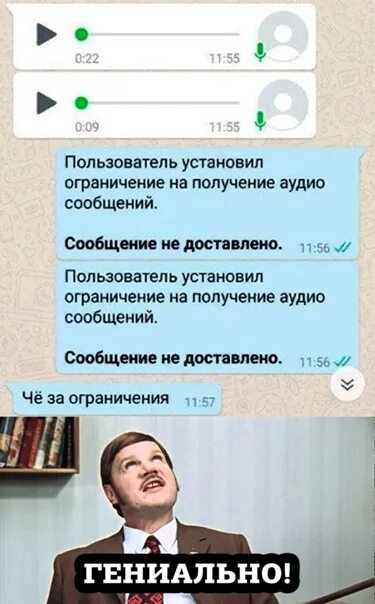 Голосовое сообщение. Смешные голосовые сообщения. Бесят голосовые сообщения. Голосовые сообщения прикол. Ватсап тихие голосовые сообщения