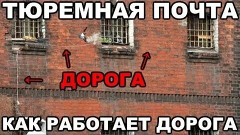 Между камерами
