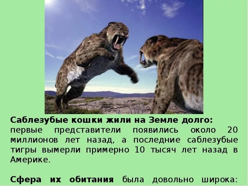 Сообщение о древнем животном