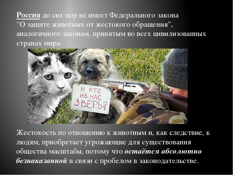 Статья за издевательства животных. Жестокое обращение с животными статья. памятка жестокое обращение с животными. статья по защите животных. закон о жестоком обращении с животными.