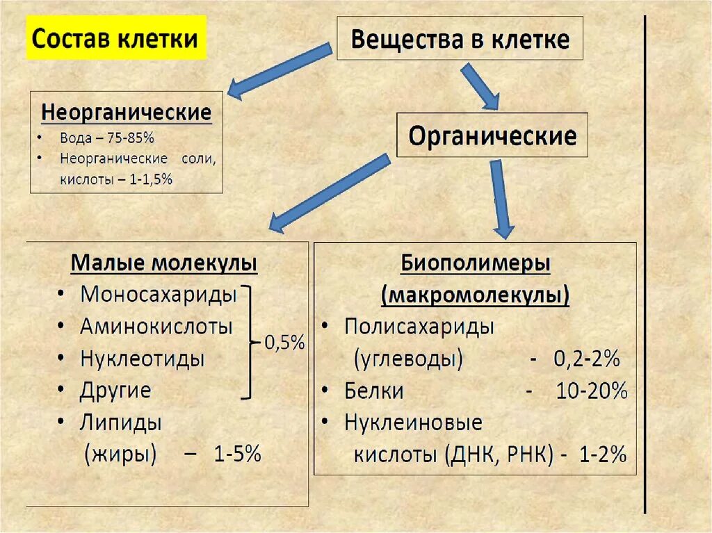 Нуклеиновые кислоты неорганические вещества