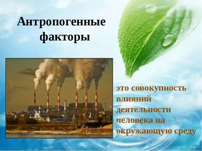 Почему антропогенный фактор часто считают фактором угрозы. Антропогенные факторы. Антропогенные факторы среды. Антропогенные экологические факторы. Антропогенные факторы примеры.