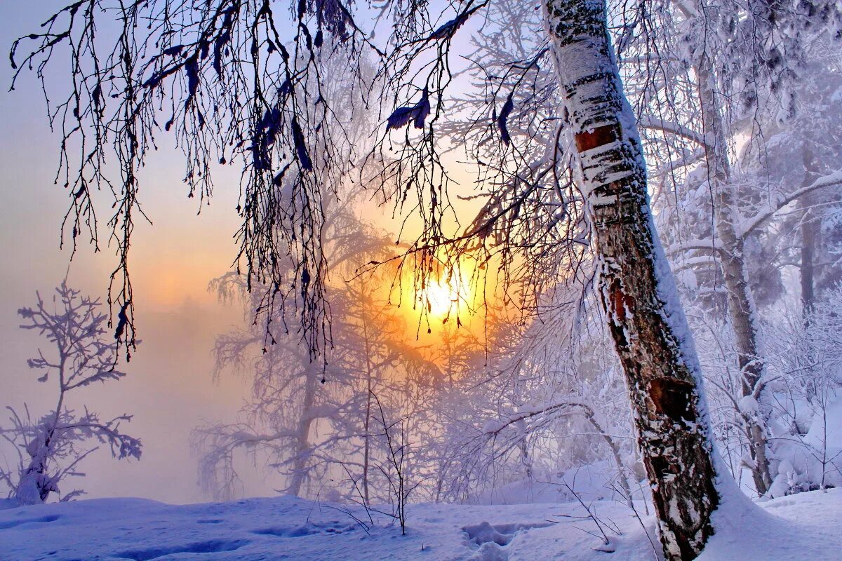 Звоны мерзлые. Февральский пейзаж. Зимнее утро. Солнечный зимний день. Зимняя красота.
