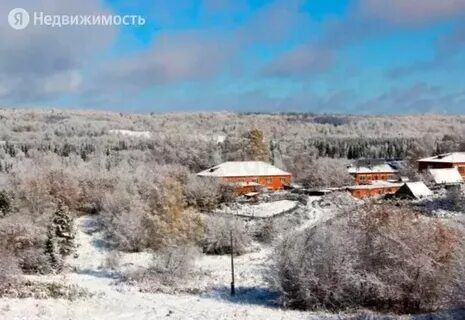 Погода первый бенжереп