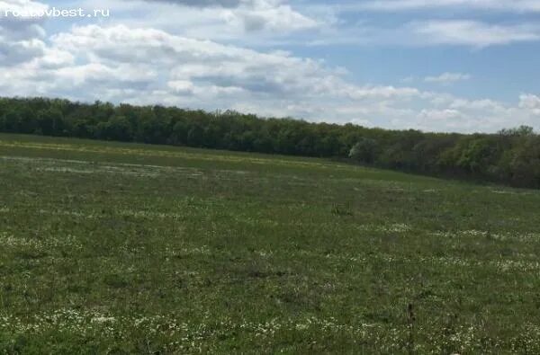 Получить землю сельхозназначения. Получить землю сельхозназначения. Земли сельскохозяйственного назначения. Получить землю сельхозназначения. Получить землю сельхозназначения.