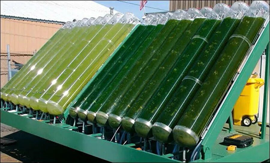 Производство водорослей. Фотобиореактор хлорелла. Альтернативная энергия биотопливо. Энергия из водорослей биотопливо. Биотопливо третьего поколения.