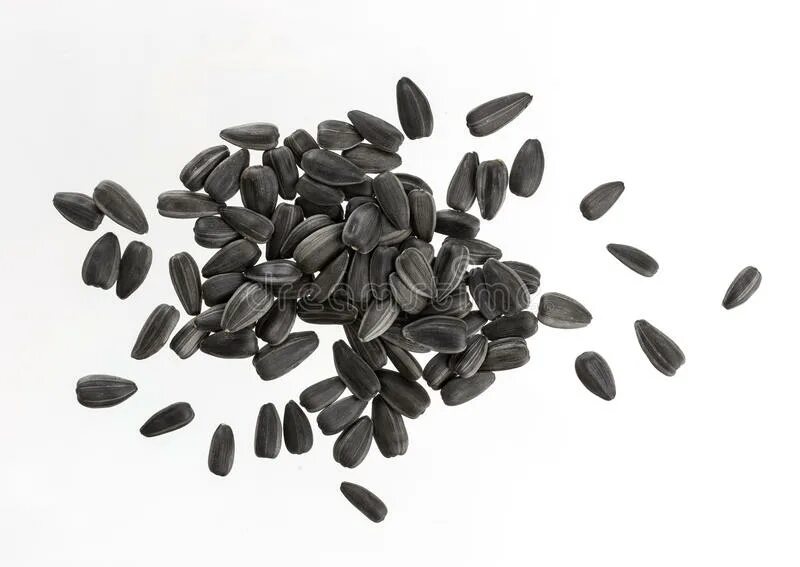 Рассыпанные семечки. Семена подсолнечника поджаренные. Семечки. Человек и семена. Большие семена.