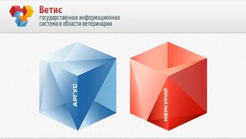 Компонент цербер фгис ветис