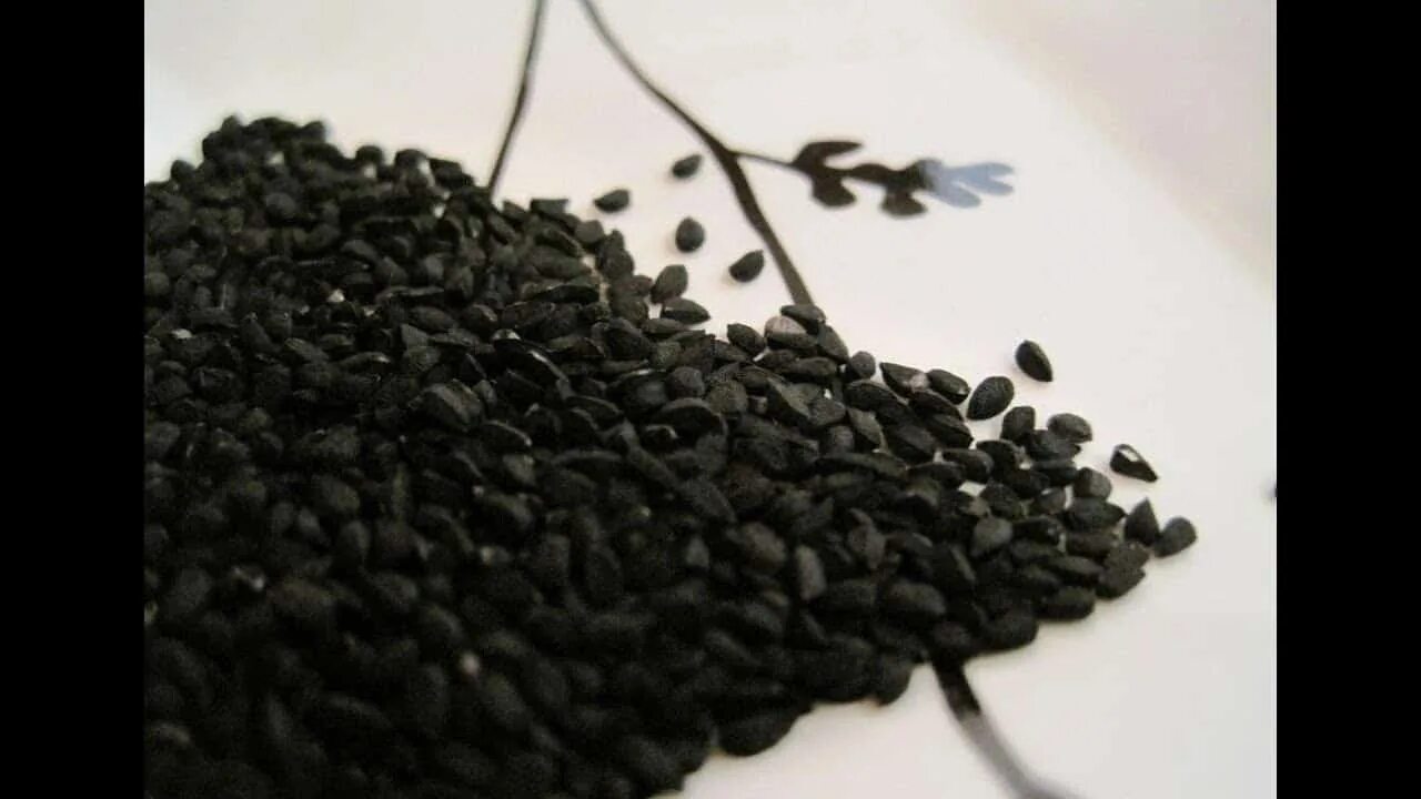 Польза семена черного. Семена черного тмина. Авиценна семена черного тмина. 3г черный тмин семена. Седона семена.