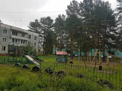 Стрижи кировская область
