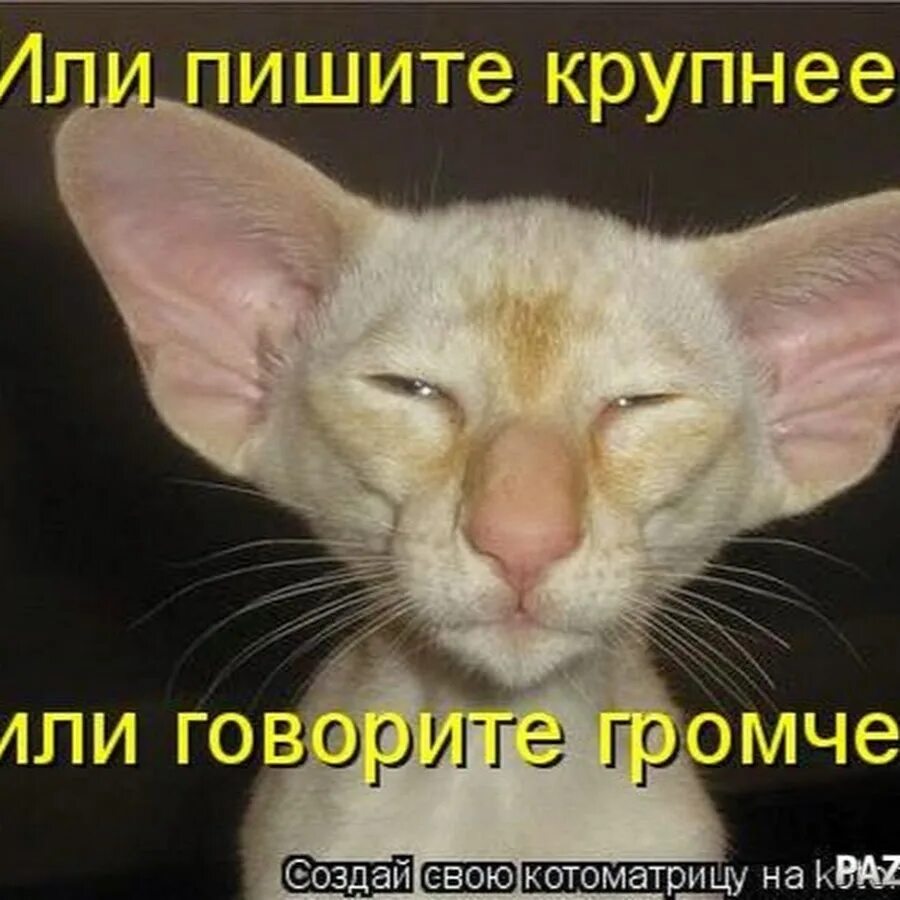 Движение говорите громче