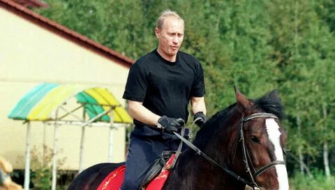 Увлечение владимира
